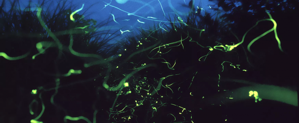 04-b.png 04-b.png