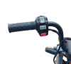 Грузовой электротрицикл FUDUDU M1 60V40Ah